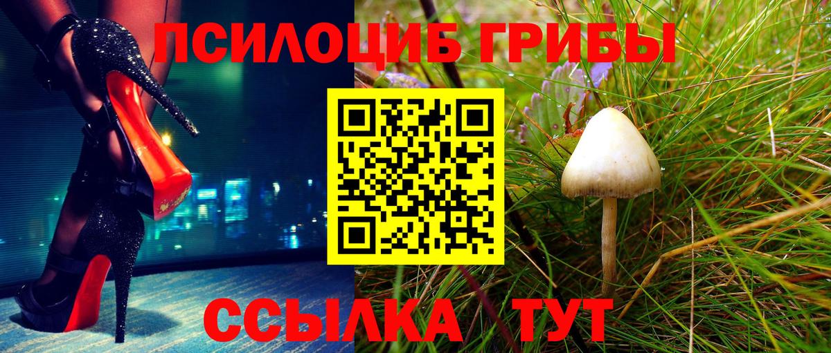 Псилоцибиновые грибы GOLDEN TEACHER Кумертау
